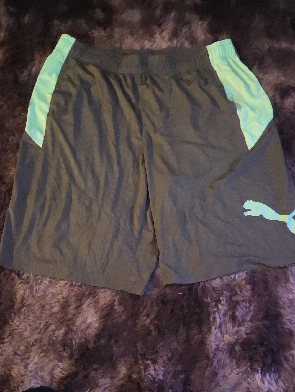 Puma Men's Black Athletic Shorts with Mint Panels Drycell 2xlt
